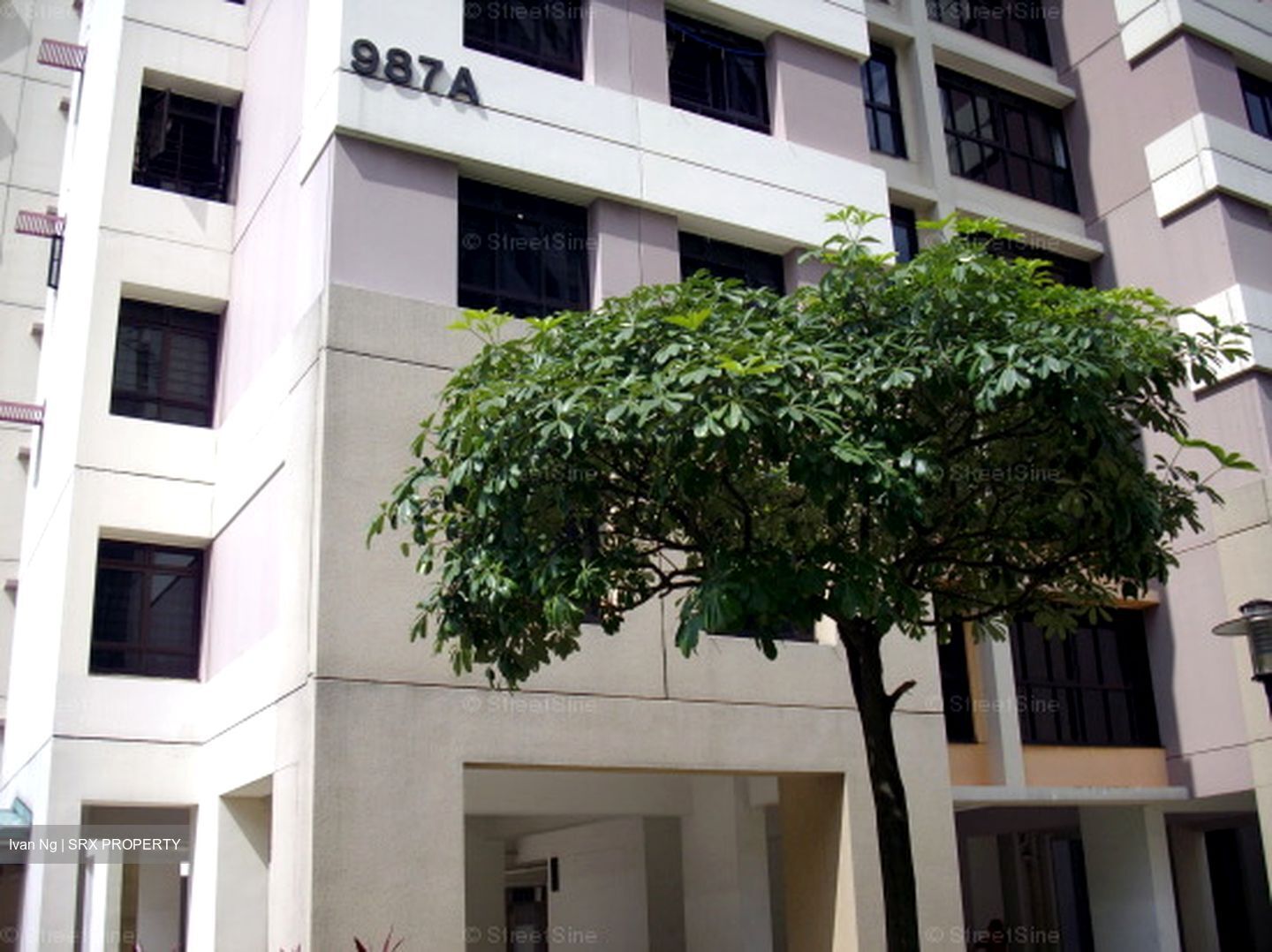 Blk 987A Jurong West Street 93 (Jurong West), HDB 5 Rooms #596282161